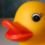 Avatar: Rubber Duckie