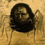 Avatar: Spider Illustration