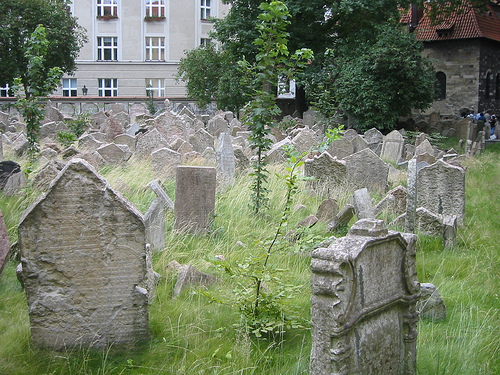 Bb3ee798f971feae0008b303d53ab0fe