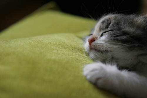 C6b191c430fe085880f8913c71da9a72