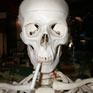 Avatar: Skeleton Smoking